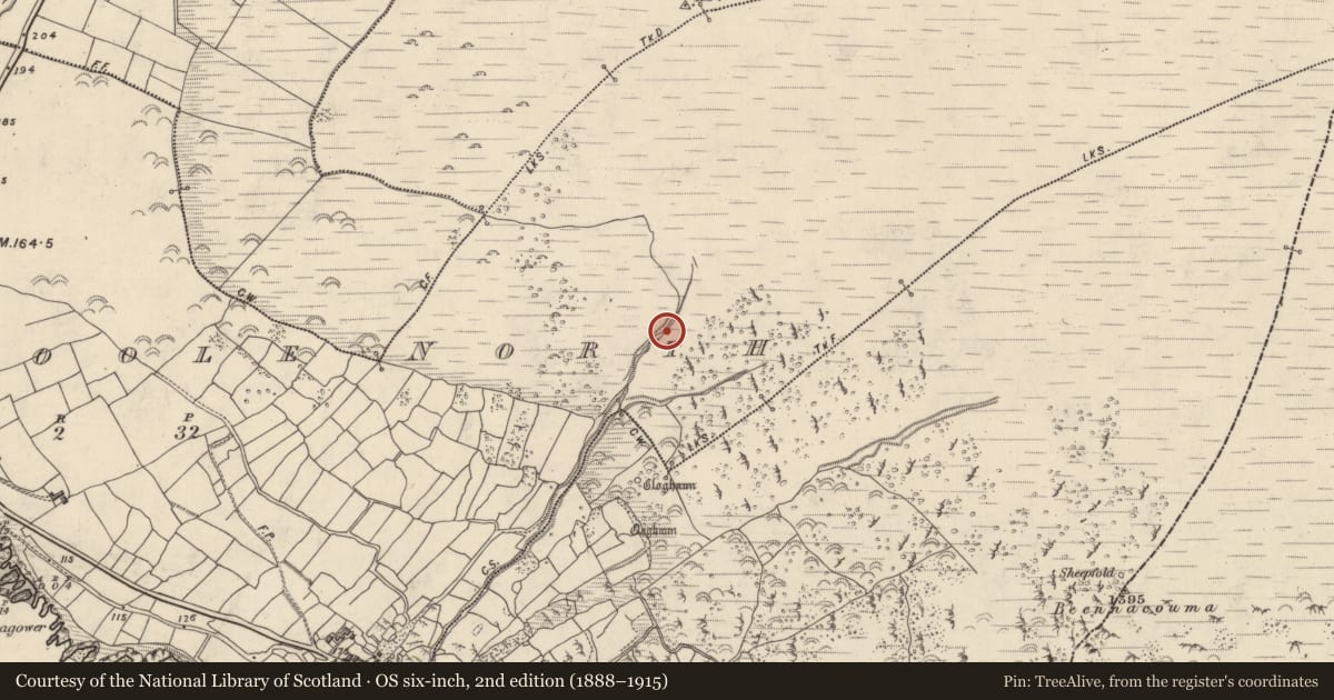 Ordnance Survey six-inch map, 2nd edition (1888–1915) covering the location of Hut site, Com Dhíneol Thuaidh, County Kerry, with a pin at the register's coordinates