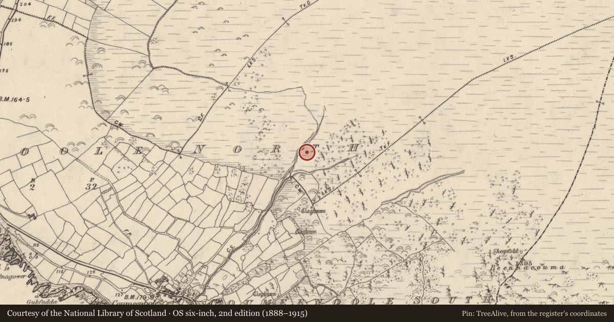 Ordnance Survey six-inch map, 2nd edition (1888–1915) covering the location of Hut site, Com Dhíneol Thuaidh, County Kerry, with a pin at the register's coordinates
