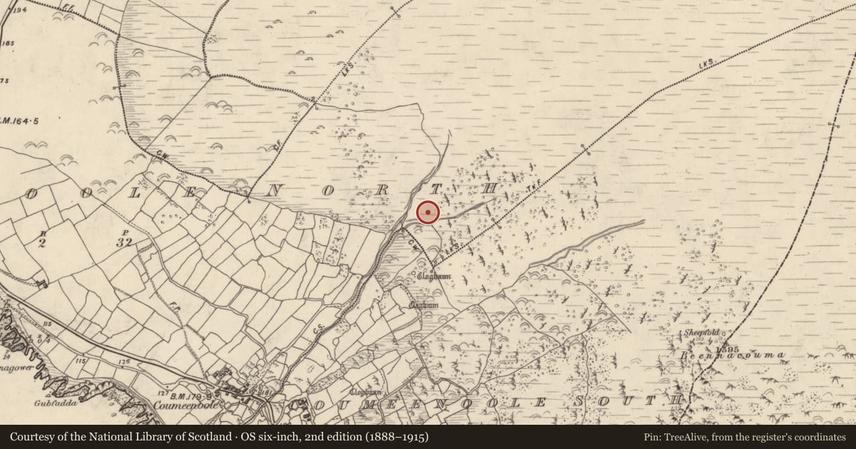 Ordnance Survey six-inch map, 2nd edition (1888–1915) covering the location of Hut site, Com Dhíneol Thuaidh, County Kerry, with a pin at the register's coordinates