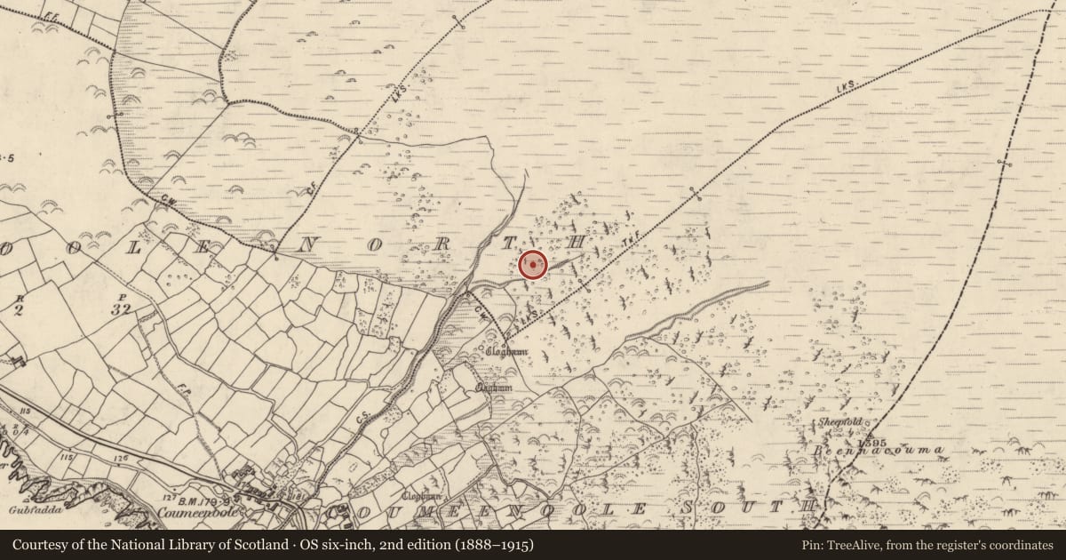 Ordnance Survey six-inch map, 2nd edition (1888–1915) covering the location of Hut site, Com Dhíneol Thuaidh, County Kerry, with a pin at the register's coordinates