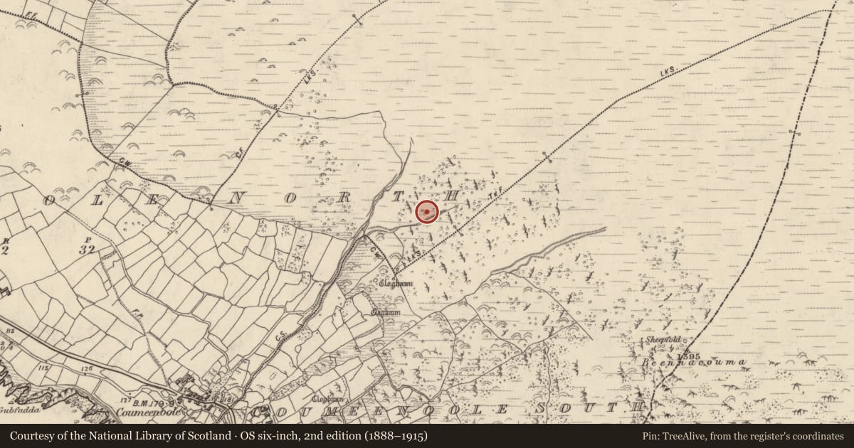 Ordnance Survey six-inch map, 2nd edition (1888–1915) covering the location of Hut site, Com Dhíneol Thuaidh, County Kerry, with a pin at the register's coordinates