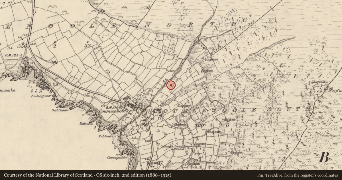 Ordnance Survey six-inch map, 2nd edition (1888–1915) covering the location of Hut site, Com Dhíneol Theas, County Kerry, with a pin at the register's coordinates