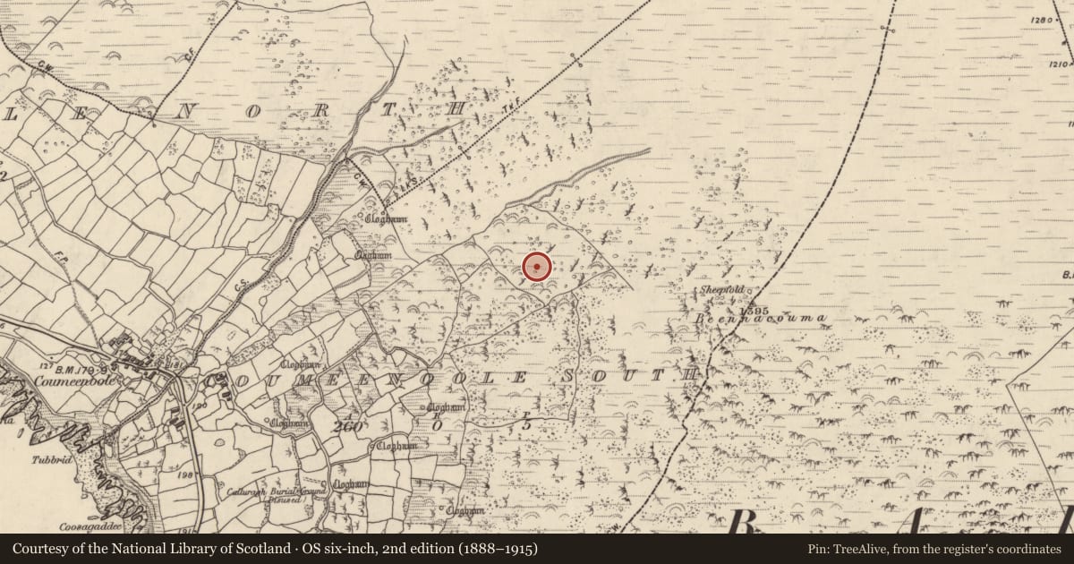 Ordnance Survey six-inch map, 2nd edition (1888–1915) covering the location of Clochan, Com Dhíneol Theas, County Kerry, with a pin at the register's coordinates