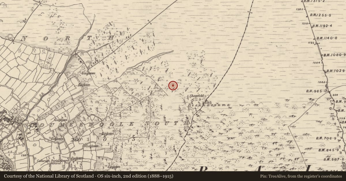 Ordnance Survey six-inch map, 2nd edition (1888–1915) covering the location of Hut site, Com Dhíneol Theas, County Kerry, with a pin at the register's coordinates