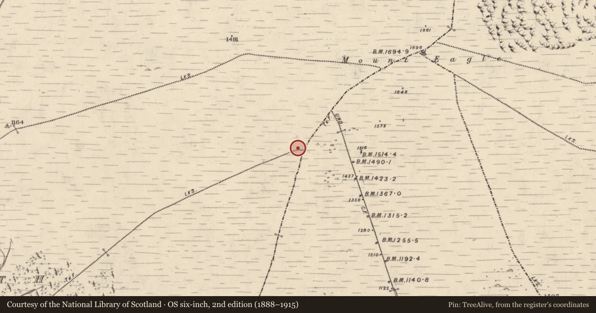 Ordnance Survey six-inch map, 2nd edition (1888–1915) covering the location of Standing stone, Com Dhíneol Thuaidh, County Kerry, with a pin at the register's coordinates