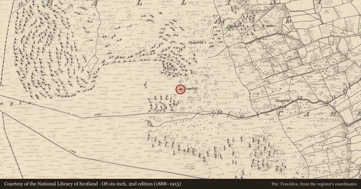 Ordnance Survey six-inch map, 2nd edition (1888–1915) covering the location of Hut site, Baile An Tsléibhe, County Kerry, with a pin at the register's coordinates