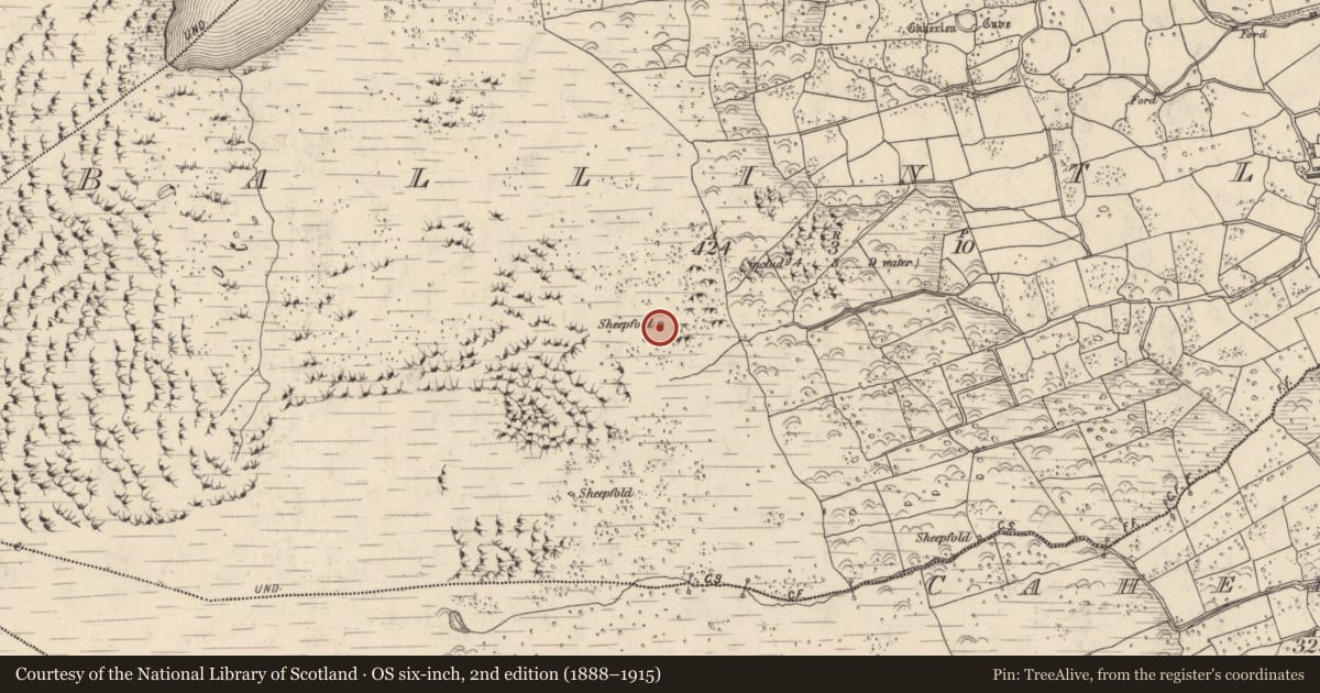 Ordnance Survey six-inch map, 2nd edition (1888–1915) covering the location of Hut site, Baile An Tsléibhe, County Kerry, with a pin at the register's coordinates