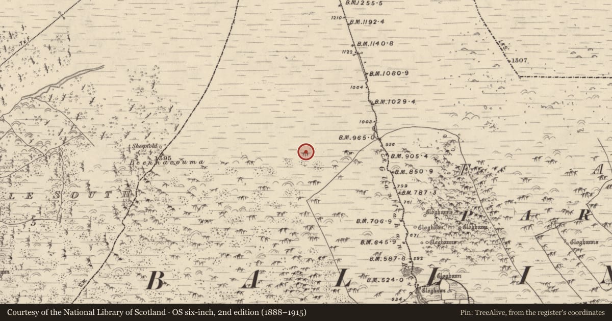Ordnance Survey six-inch map, 2nd edition (1888–1915) covering the location of Hut site, Gleann Fán, County Kerry, with a pin at the register's coordinates