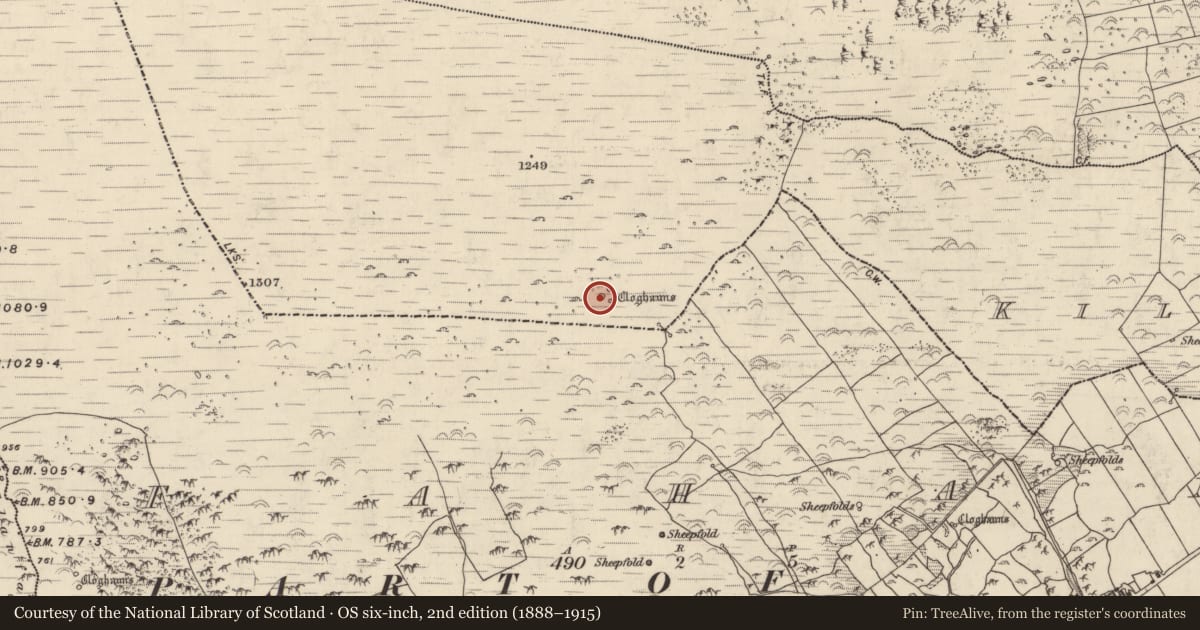 Ordnance Survey six-inch map, 2nd edition (1888–1915) covering the location of Hut site, Cill Mhic An Domhnaigh, County Kerry, with a pin at the register's coordinates