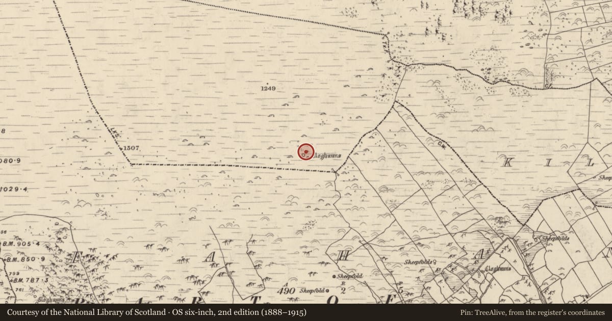 Ordnance Survey six-inch map, 2nd edition (1888–1915) covering the location of Hut site, Cill Mhic An Domhnaigh, County Kerry, with a pin at the register's coordinates