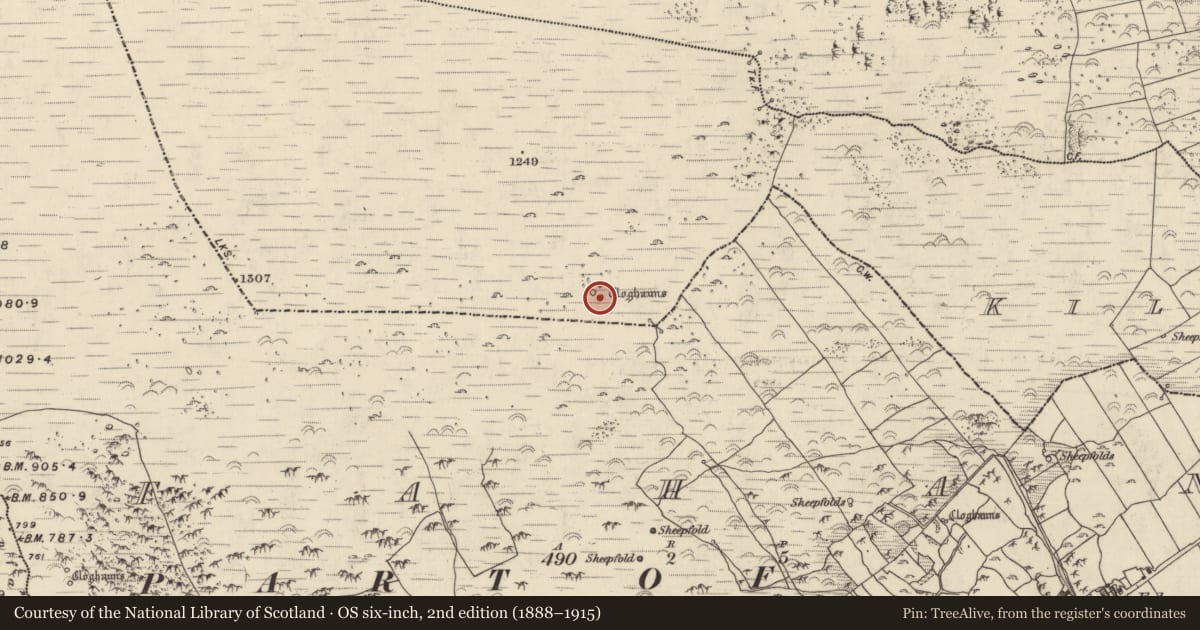 Ordnance Survey six-inch map, 2nd edition (1888–1915) covering the location of Hut site, Cill Mhic An Domhnaigh, County Kerry, with a pin at the register's coordinates