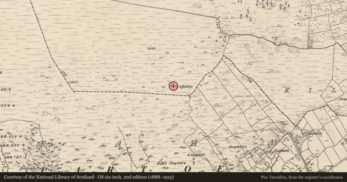 Ordnance Survey six-inch map, 2nd edition (1888–1915) covering the location of Hut site, Cill Mhic An Domhnaigh, County Kerry, with a pin at the register's coordinates