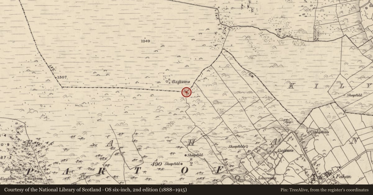 Ordnance Survey six-inch map, 2nd edition (1888–1915) covering the location of Standing stone, Fán, County Kerry, with a pin at the register's coordinates