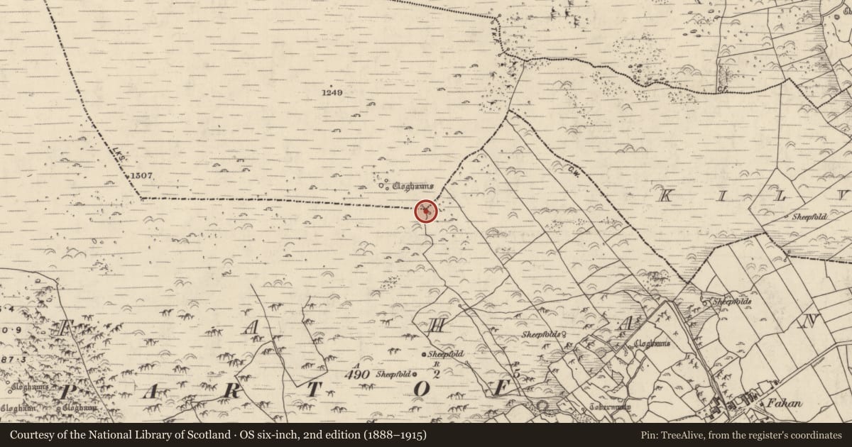 Ordnance Survey six-inch map, 2nd edition (1888–1915) covering the location of Hut site, Fán, County Kerry, with a pin at the register's coordinates