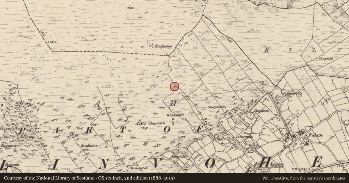 Ordnance Survey six-inch map, 2nd edition (1888–1915) covering the location of Hut site, Fán, County Kerry, with a pin at the register's coordinates