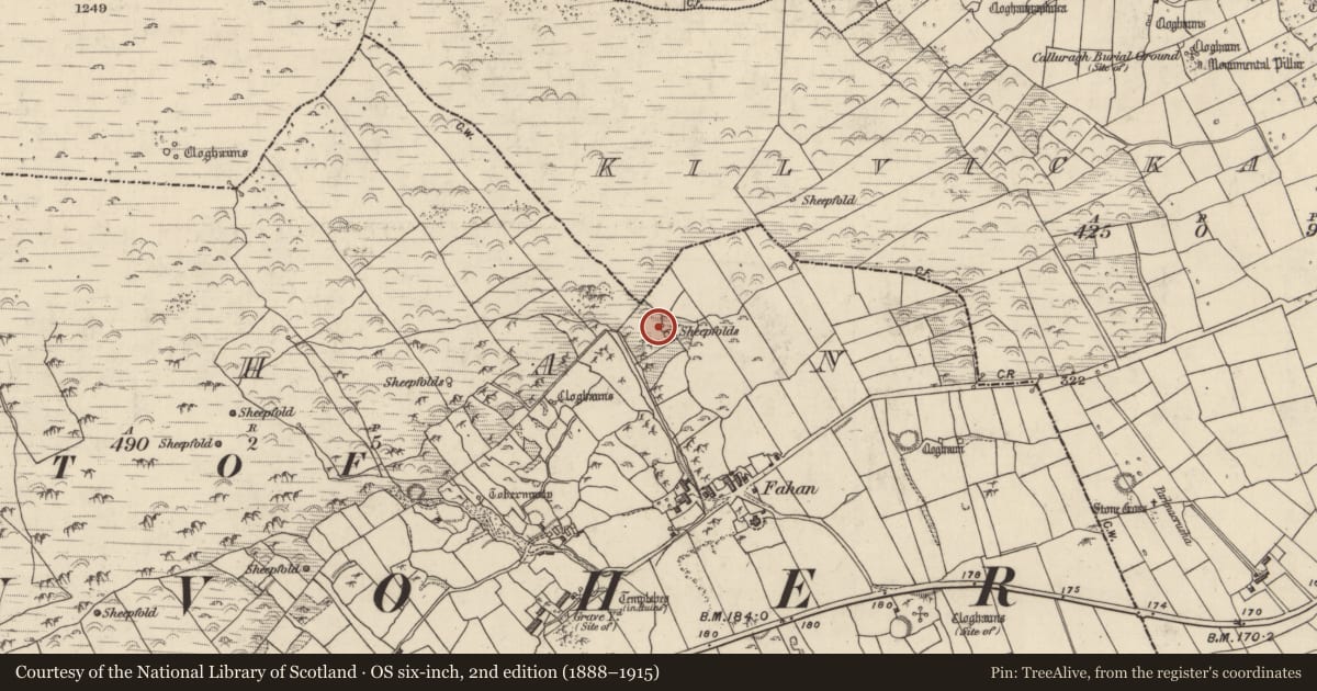 Ordnance Survey six-inch map, 2nd edition (1888–1915) covering the location of Hut site, Fán, County Kerry, with a pin at the register's coordinates