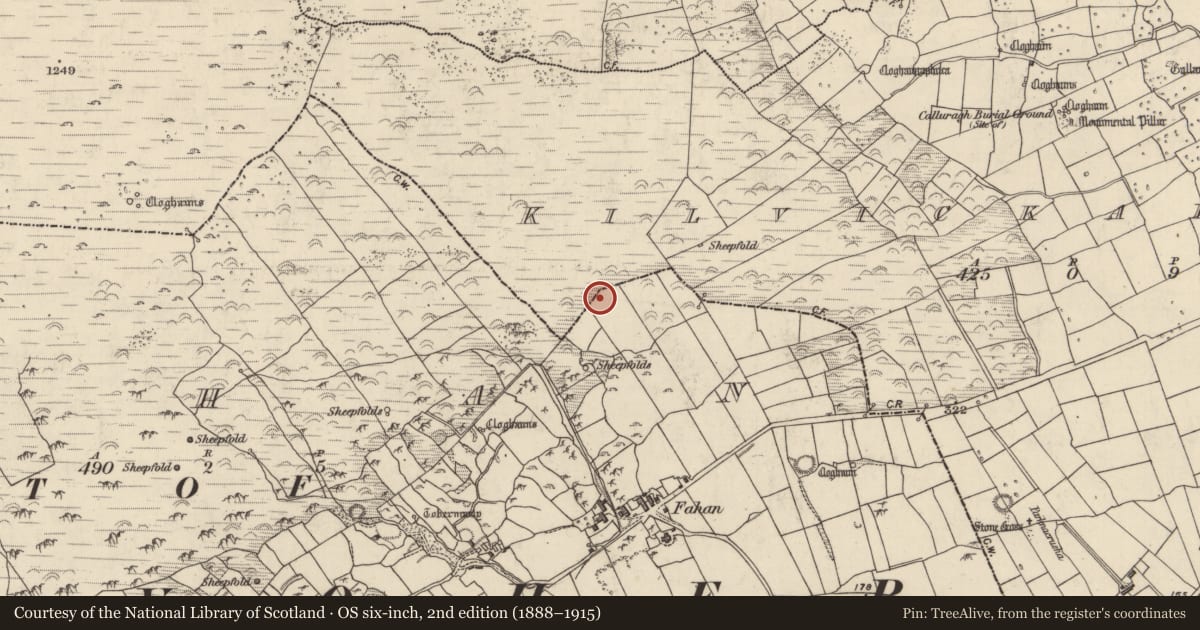 Ordnance Survey six-inch map, 2nd edition (1888–1915) covering the location of Hut site, Fán, County Kerry, with a pin at the register's coordinates