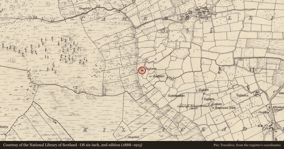 Ordnance Survey six-inch map, 2nd edition (1888–1915) covering the location of Hut site, Cathair Boilg, County Kerry, with a pin at the register's coordinates