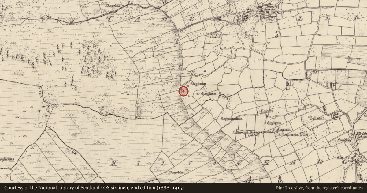Ordnance Survey six-inch map, 2nd edition (1888–1915) covering the location of Clochan, Cathair Boilg, County Kerry, with a pin at the register's coordinates