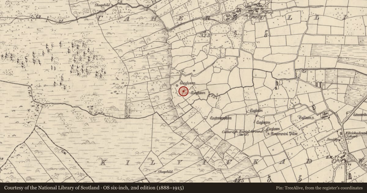 Ordnance Survey six-inch map, 2nd edition (1888–1915) covering the location of Clochan, Cathair Boilg, County Kerry, with a pin at the register's coordinates