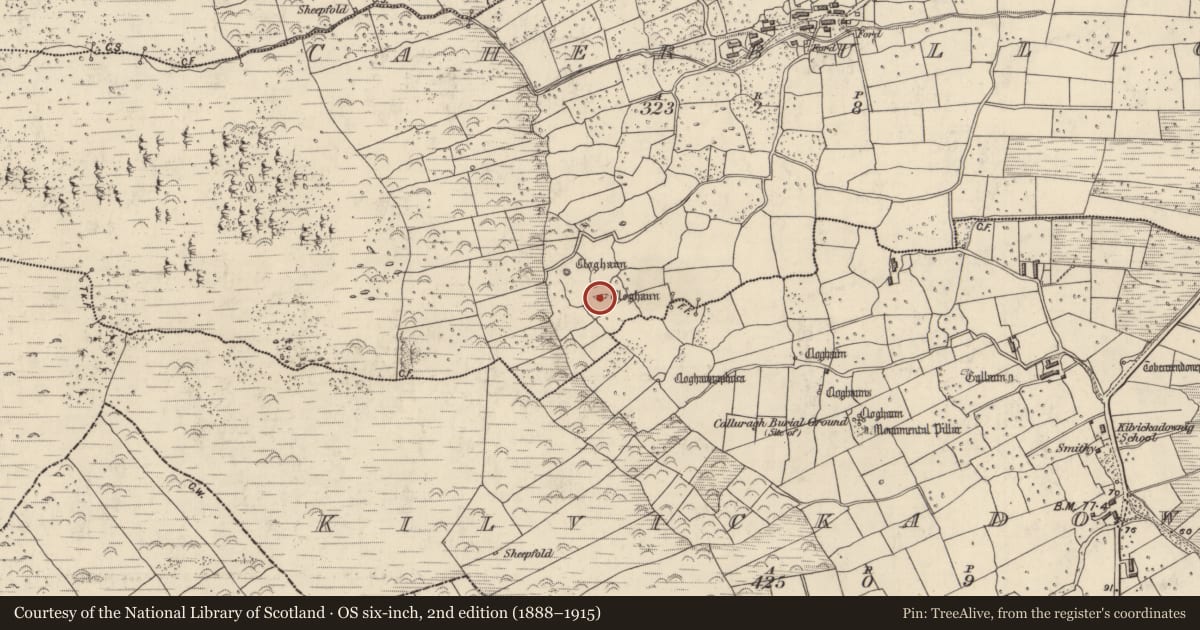 Ordnance Survey six-inch map, 2nd edition (1888–1915) covering the location of Hut site, Cathair Boilg, County Kerry, with a pin at the register's coordinates