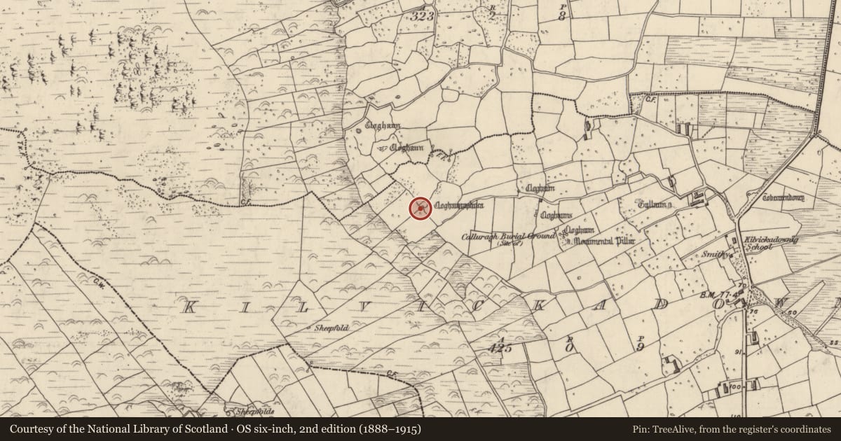 Ordnance Survey six-inch map, 2nd edition (1888–1915) covering the location of Hut site, Cill Mhic An Domhnaigh, County Kerry, with a pin at the register's coordinates
