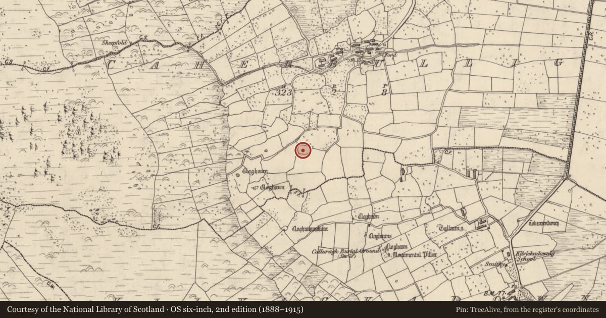 Ordnance Survey six-inch map, 2nd edition (1888–1915) covering the location of Enclosure, Cathair Boilg, County Kerry, with a pin at the register's coordinates