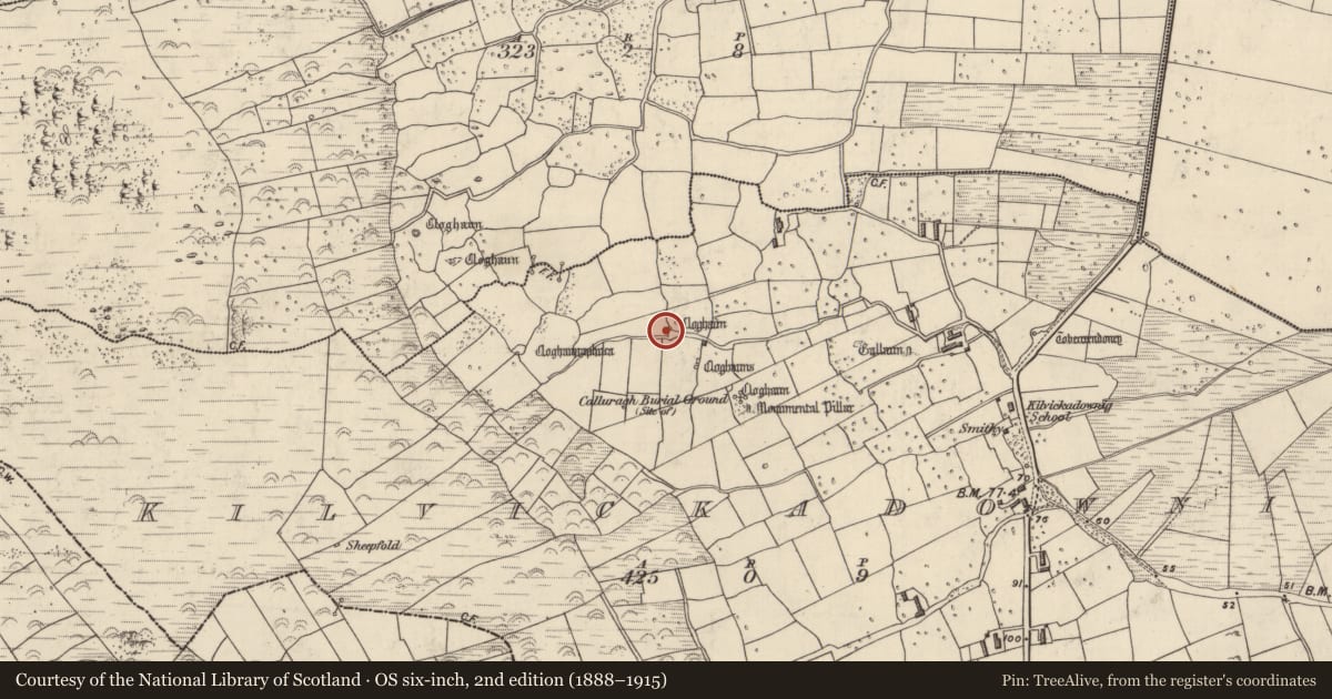 Ordnance Survey six-inch map, 2nd edition (1888–1915) covering the location of Clochan, Cill Mhic An Domhnaigh, County Kerry, with a pin at the register's coordinates