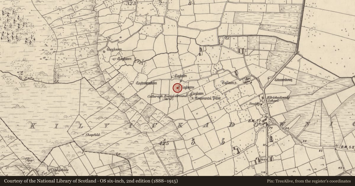 Ordnance Survey six-inch map, 2nd edition (1888–1915) covering the location of Hut site, Cill Mhic An Domhnaigh, County Kerry, with a pin at the register's coordinates