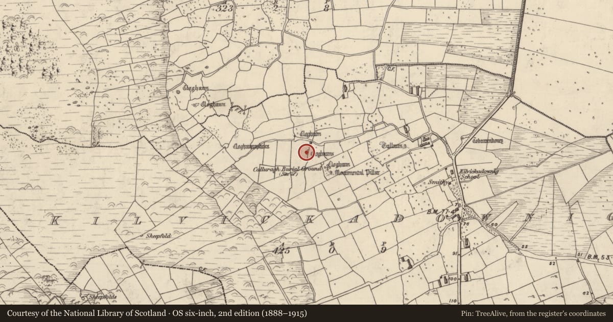 Ordnance Survey six-inch map, 2nd edition (1888–1915) covering the location of Hut site, Cill Mhic An Domhnaigh, County Kerry, with a pin at the register's coordinates
