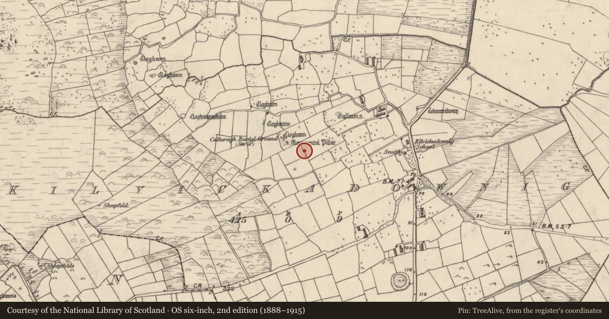 Ordnance Survey six-inch map, 2nd edition (1888–1915) covering the location of Cross-slab, Cill Mhic An Domhnaigh, County Kerry, with a pin at the register's coordinates