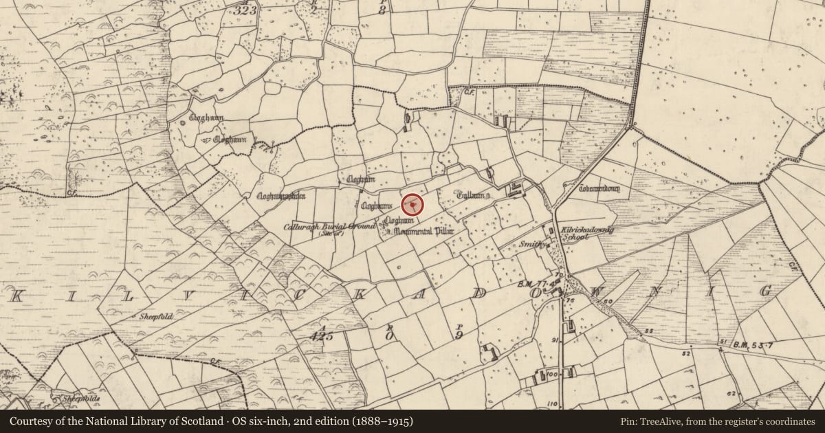 Ordnance Survey six-inch map, 2nd edition (1888–1915) covering the location of Standing stone, Cill Mhic An Domhnaigh, County Kerry, with a pin at the register's coordinates