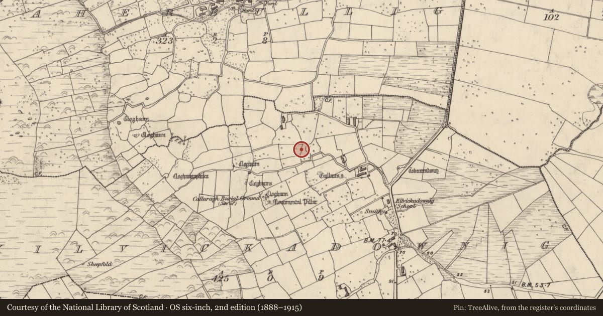 Ordnance Survey six-inch map, 2nd edition (1888–1915) covering the location of Clochan, Cill Mhic An Domhnaigh, County Kerry, with a pin at the register's coordinates