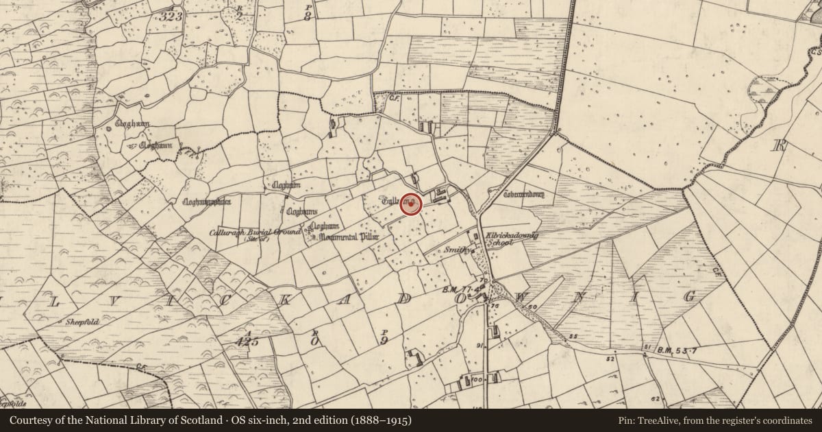 Ordnance Survey six-inch map, 2nd edition (1888–1915) covering the location of Standing stone, Cill Mhic An Domhnaigh, County Kerry, with a pin at the register's coordinates