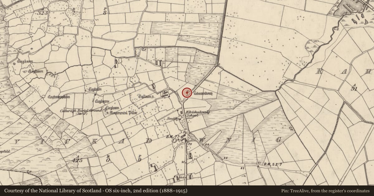 Ordnance Survey six-inch map, 2nd edition (1888–1915) covering the location of Ritual site - holy well, Cill Mhic An Domhnaigh, County Kerry, with a pin at the register's coordinates
