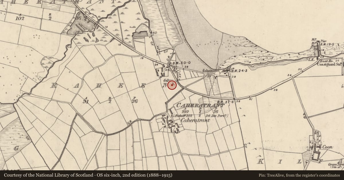 Ordnance Survey six-inch map, 2nd edition (1888–1915) covering the location of Standing stone, Na Ráithíneacha (Corca Dhuibhne), County Kerry, with a pin at the register's coordinates