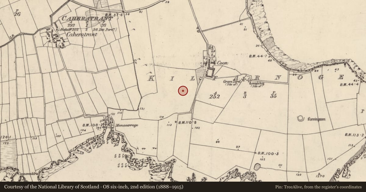 Ordnance Survey six-inch map, 2nd edition (1888–1915) covering the location of Enclosure, Cill Fearnóg, County Kerry, with a pin at the register's coordinates