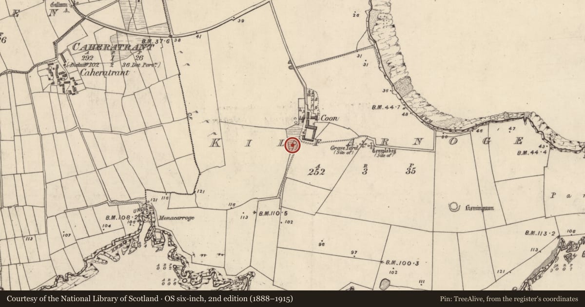 Ordnance Survey six-inch map, 2nd edition (1888–1915) covering the location of Hut site, Cill Fearnóg, County Kerry, with a pin at the register's coordinates