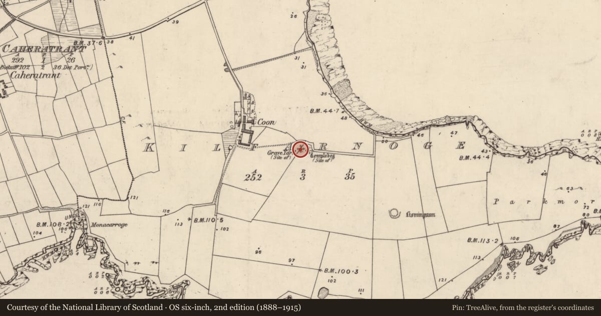 Ordnance Survey six-inch map, 2nd edition (1888–1915) covering the location of Graveyard, Cill Fearnóg, County Kerry, with a pin at the register's coordinates