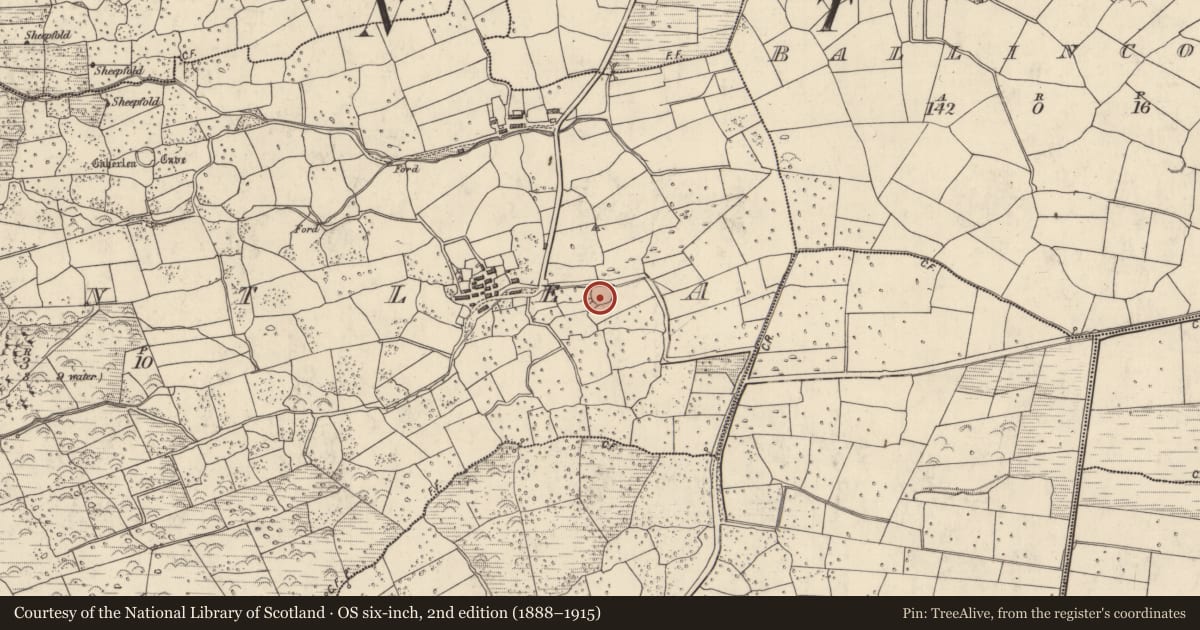 Ordnance Survey six-inch map, 2nd edition (1888–1915) covering the location of Ringfort - rath, Baile An Tsléibhe, County Kerry, with a pin at the register's coordinates