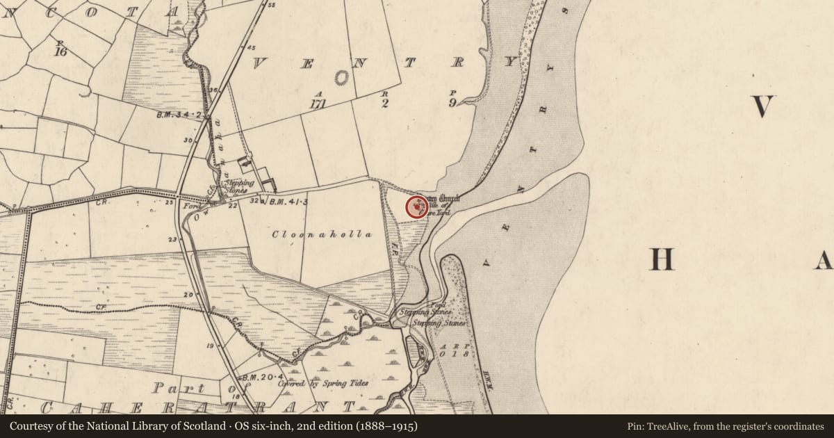 Ordnance Survey six-inch map, 2nd edition (1888–1915) covering the location of Font, Fionntrá, County Kerry, with a pin at the register's coordinates