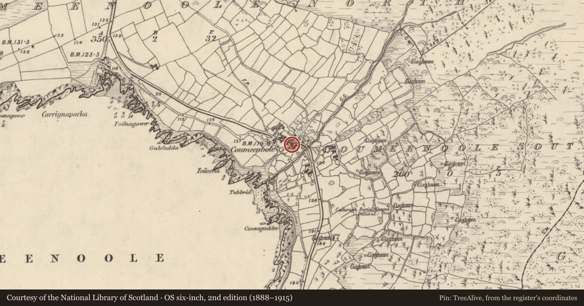 Ordnance Survey six-inch map, 2nd edition (1888–1915) covering the location of Hut site, Com Dhíneol Thuaidh, County Kerry, with a pin at the register's coordinates