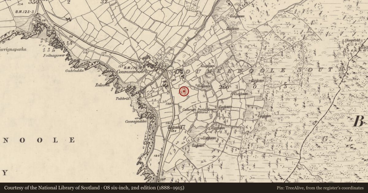 Ordnance Survey six-inch map, 2nd edition (1888–1915) covering the location of Clochan, Com Dhíneol Theas, County Kerry, with a pin at the register's coordinates