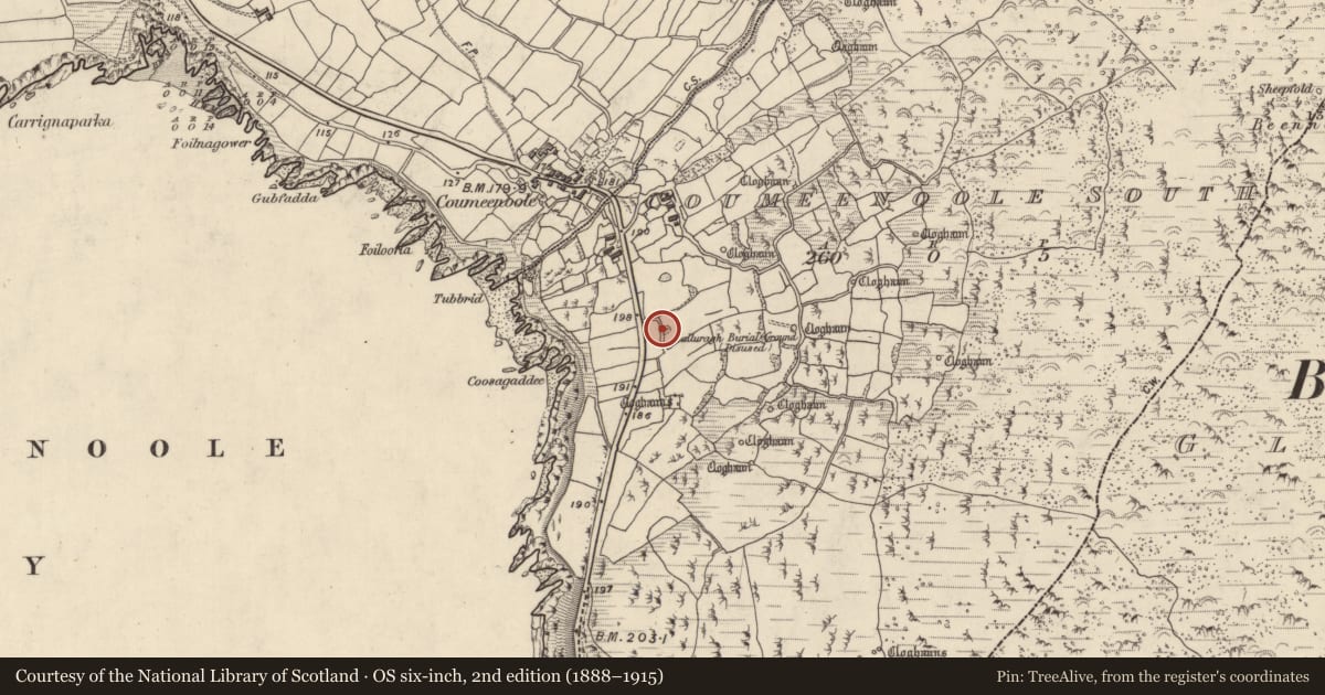 Ordnance Survey six-inch map, 2nd edition (1888–1915) covering the location of Children's burial ground, Com Dhíneol Theas, County Kerry, with a pin at the register's coordinates