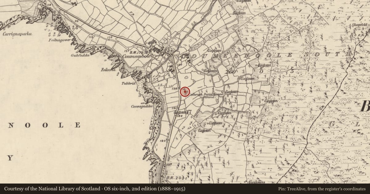Ordnance Survey six-inch map, 2nd edition (1888–1915) covering the location of Clochan, Com Dhíneol Theas, County Kerry, with a pin at the register's coordinates