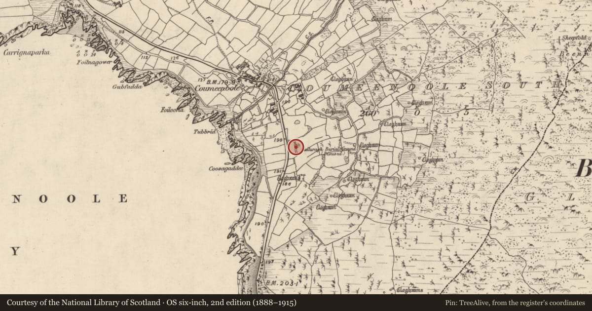 Ordnance Survey six-inch map, 2nd edition (1888–1915) covering the location of Cross-slab, Com Dhíneol Theas, County Kerry, with a pin at the register's coordinates