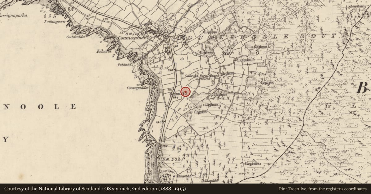 Ordnance Survey six-inch map, 2nd edition (1888–1915) covering the location of Clochan, Com Dhíneol Theas, County Kerry, with a pin at the register's coordinates