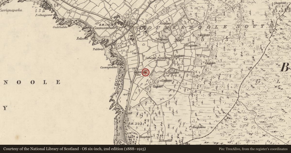 Ordnance Survey six-inch map, 2nd edition (1888–1915) covering the location of Clochan, Com Dhíneol Theas, County Kerry, with a pin at the register's coordinates