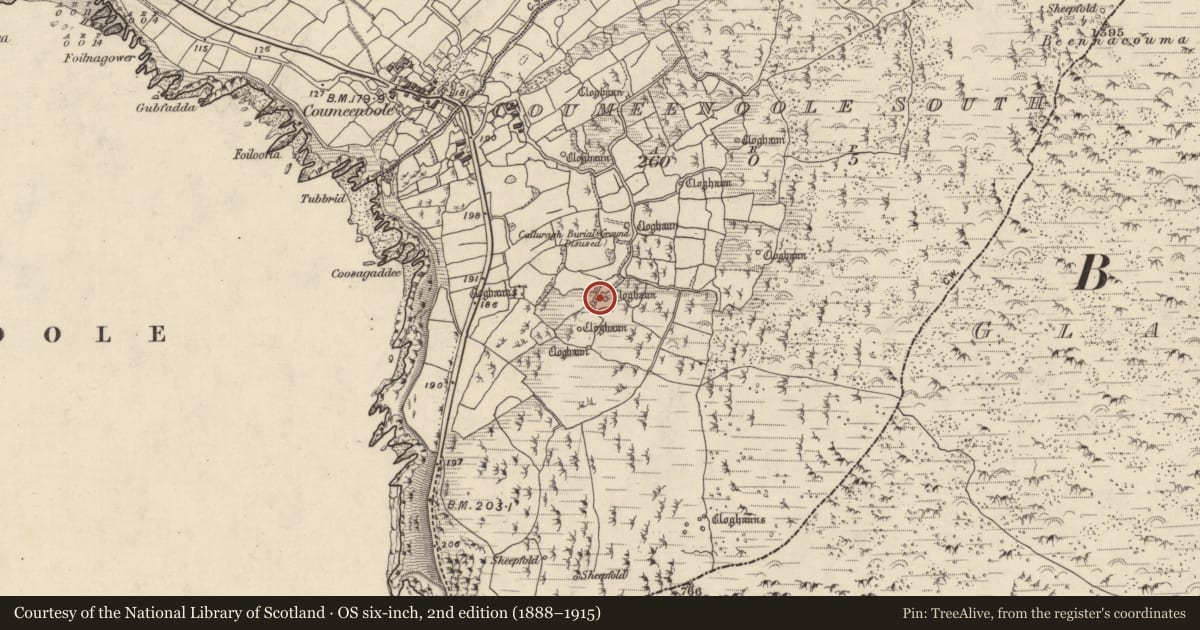 Ordnance Survey six-inch map, 2nd edition (1888–1915) covering the location of Hut site, Com Dhíneol Theas, County Kerry, with a pin at the register's coordinates