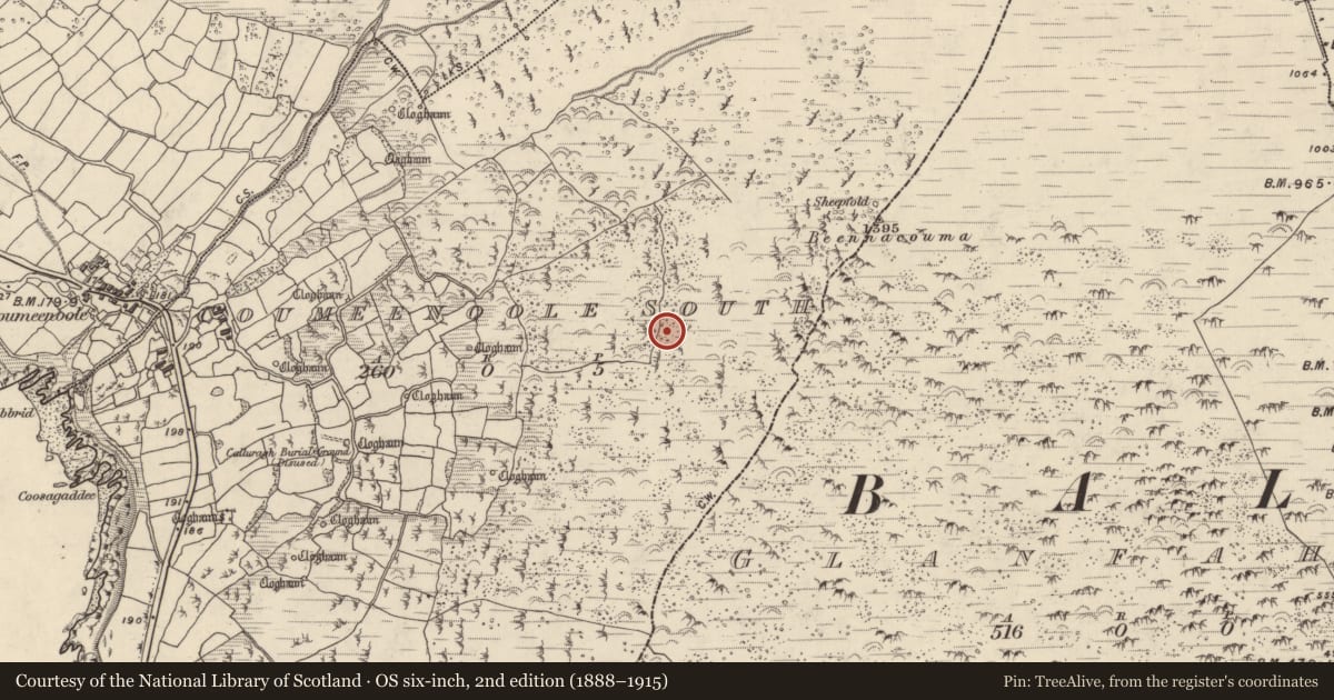 Ordnance Survey six-inch map, 2nd edition (1888–1915) covering the location of Hut site, Com Dhíneol Theas, County Kerry, with a pin at the register's coordinates